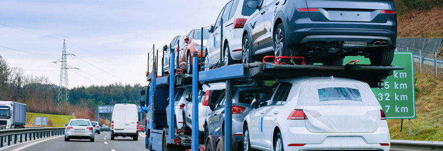 Car Shipping